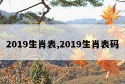 2019生肖表,2019生肖表码