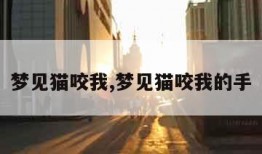 梦见猫咬我,梦见猫咬我的手