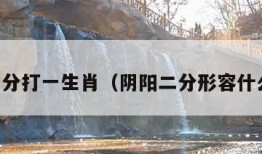 阴阳二分打一生肖（阴阳二分形容什么生肖）