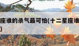 十二星座谁的杀气最可怕(十二星座谁最有杀气排名)