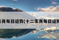 十二生肖每日运势(十二生肖每日运势运程)