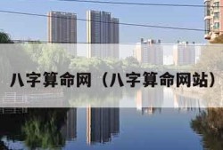 八字算命网（八字算命网站）