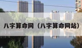 八字算命网（八字算命网站）