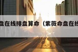 紫薇命盘在线排盘算命（紫薇命盘在线排盘免费）