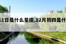 9月11日是什么星座,12月初四是什么星座