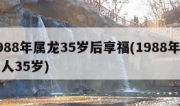 1988年属龙35岁后享福(1988年属龙人35岁)