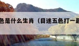 目迷五色是什么生肖（目迷五色打一最佳生肖）