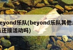beyond乐队(beyond乐队其他成员还接活动吗)