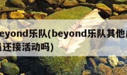 beyond乐队(beyond乐队其他成员还接活动吗)