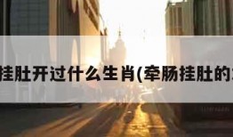 牵肠挂肚开过什么生肖(牵肠挂肚的本意)