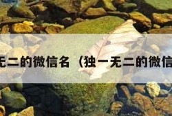 独一无二的微信名（独一无二的微信名刘）