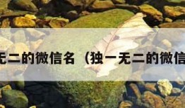 独一无二的微信名（独一无二的微信名刘）