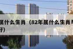 82年属什么生肖（82年属什么生肖与什么配最好）