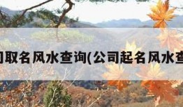 公司取名风水查询(公司起名风水查询)