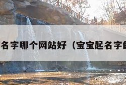 宝宝起名字哪个网站好（宝宝起名字的网站）