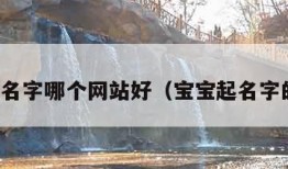 宝宝起名字哪个网站好（宝宝起名字的网站）