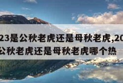 2023是公秋老虎还是母秋老虎,2023是公秋老虎还是母秋老虎哪个热
