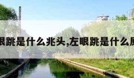 左眼跳是什么兆头,左眼跳是什么原因