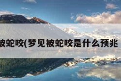 梦见被蛇咬(梦见被蛇咬是什么预兆 女性)