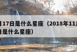 1月17日是什么星座（2018年11月17日是什么星座）