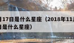 1月17日是什么星座（2018年11月17日是什么星座）