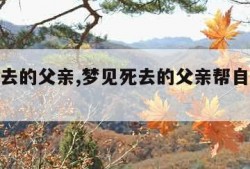 梦见死去的父亲,梦见死去的父亲帮自己装修新房子
