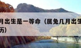 属兔几月出生是一等命（属兔几月出生是一等命万年历）