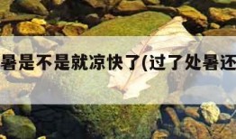 过了处暑是不是就凉快了(过了处暑还会总下雨吗)