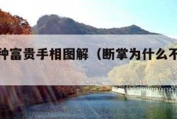 断掌九种富贵手相图解（断掌为什么不能告诉别人）