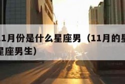 阳历11月份是什么星座男（11月的星座是什么星座男生）