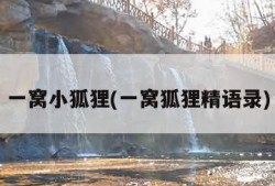 一窝小狐狸(一窝狐狸精语录)