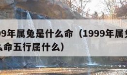 1999年属兔是什么命（1999年属兔是什么命五行属什么）