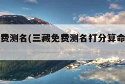 三藏免费测名(三藏免费测名打分算命唐千媛)