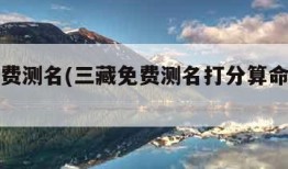 三藏免费测名(三藏免费测名打分算命唐千媛)