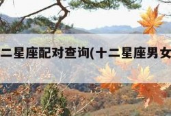 男女十二星座配对查询(十二星座男女搭配表)