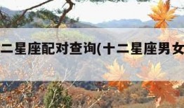 男女十二星座配对查询(十二星座男女搭配表)