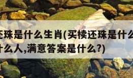 买椟还珠是什么生肖(买椟还珠是什么生肖,代表什么人,满意答案是什么?)