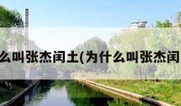 为什么叫张杰闰土(为什么叫张杰闰土呢)