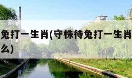 守株待兔打一生肖(守株待兔打一生肖最佳答案是什么)