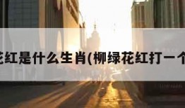 柳绿花红是什么生肖(柳绿花红打一个动物)