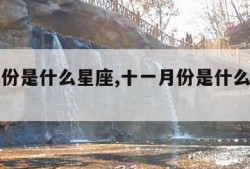 十一月份是什么星座,十一月份是什么星座男生