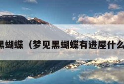 梦见黑蝴蝶（梦见黑蝴蝶有进屋什么预兆）