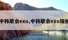 中韩歌会exo,中韩歌会exo饭拍