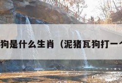 泥猪瓦狗是什么生肖（泥猪瓦狗打一个生肖）