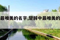 楚辞中最唯美的名字,楚辞中最唯美的名字刘姓
