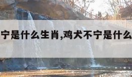 鸡犬不宁是什么生肖,鸡犬不宁是什么生肖谜语