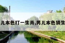 男儿本色打一生肖,男儿本色猜生肖