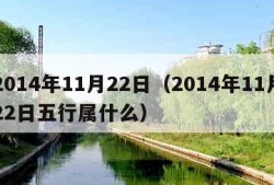 2014年11月22日（2014年11月22日五行属什么）