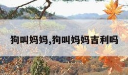 狗叫妈妈,狗叫妈妈吉利吗