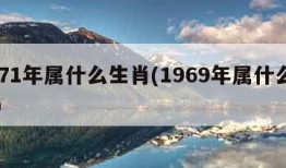 1971年属什么生肖(1969年属什么生肖)